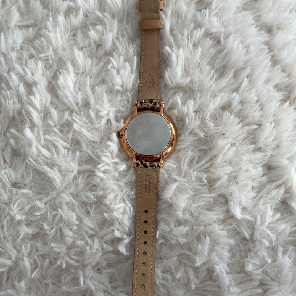 Fossil Watch - Picture 3 of 3